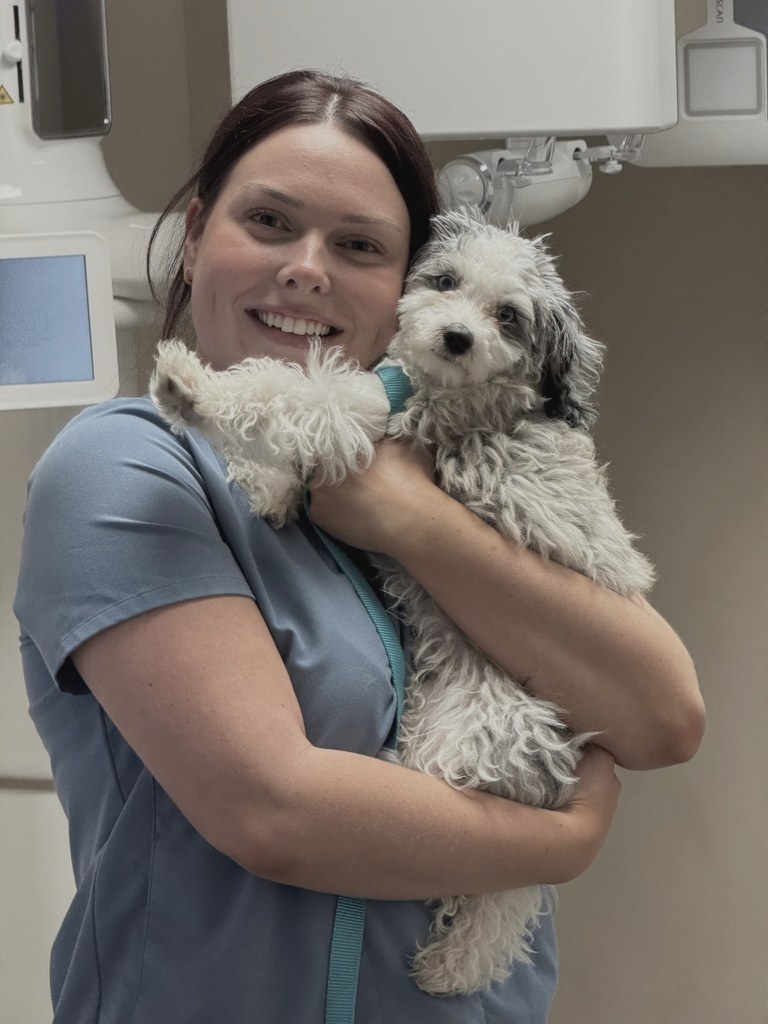 A team member cradling the office puppy.